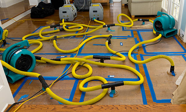 Professional Water Damage Repair technician working in Buchanan, ND